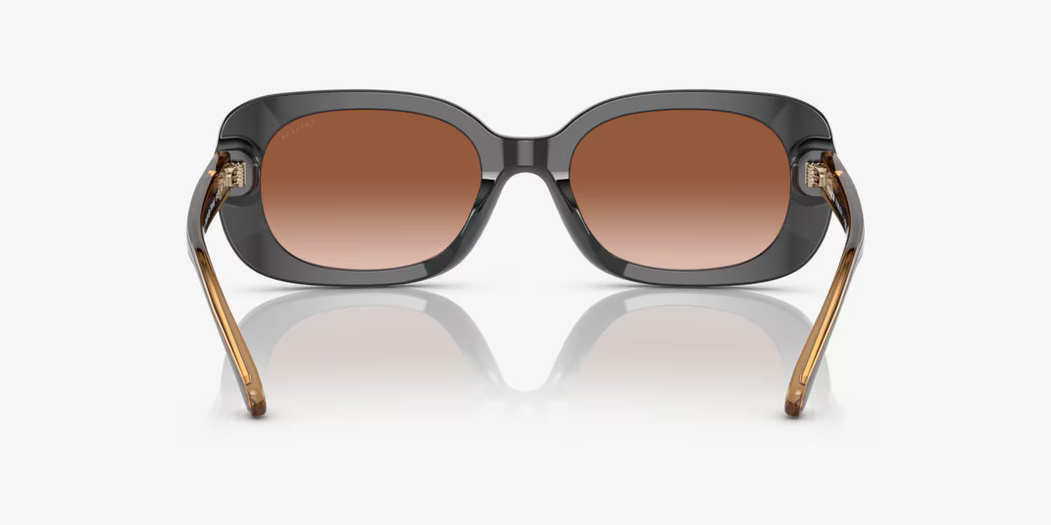 COACH sunglasses brown gradient